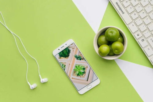 家居日用品誰最臟 你絕對想不到的排名